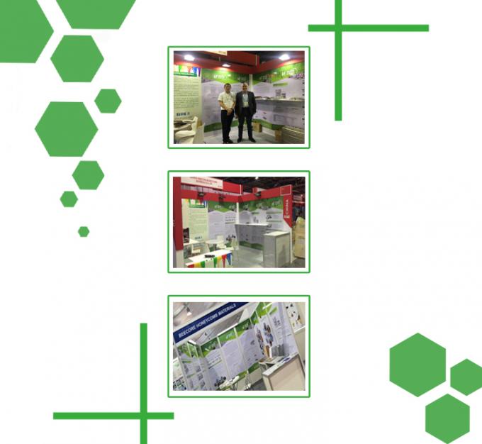 25T υψηλής ακρίβειας ελέγχου Τύπος εξυγίανσης πλάκας 5